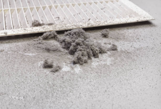 Air Duct Mold Removal in MD