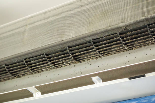 Best Affordable Air Duct Cleaning  in Potomac Heights, MD
